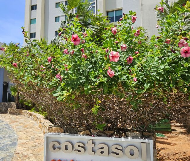COSTA SOL